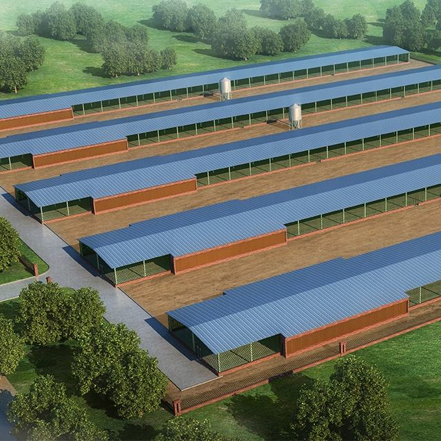 Prefabricated Steel Structure Poultry Layer Broiler Farm Building
