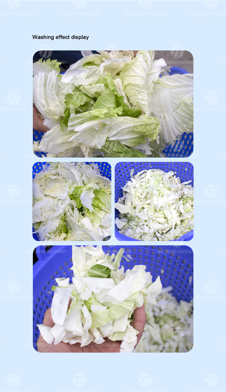 2KW Leaf Vegetable Processing Machine Fruit Dehydrator Machine