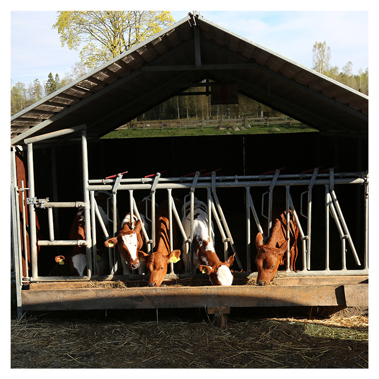 Selflocking Panel Cow Head Lock Cattle Farm Machinery Equipment