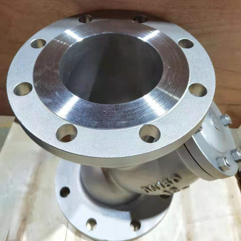 DN100 SS304 Y Type Flanged Strainer