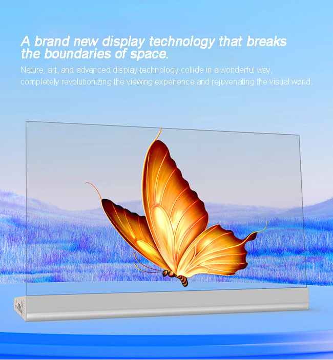 Interactive Touchscreen Transparent OLED Display For Retail And Business