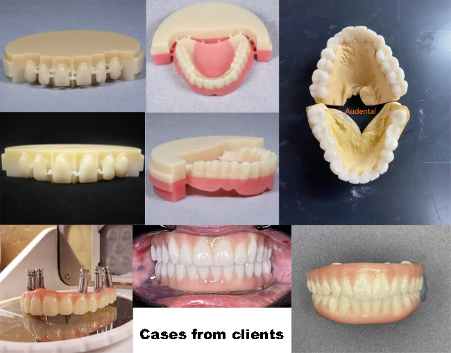 Audental Mono Multilayer Resin CAD CAM Material Punk Blank PMMA Block