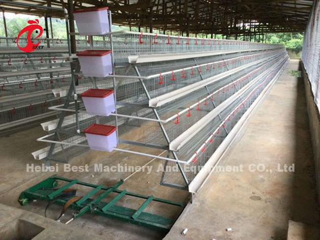 500 To 30000 Birds Layer Battery Cage System For Poultry Farming Star