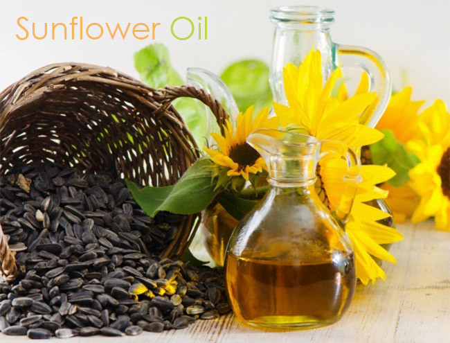 OEM ODM Rapeseed Oil Sunflower Oil Extraction Equipment Energy Saving