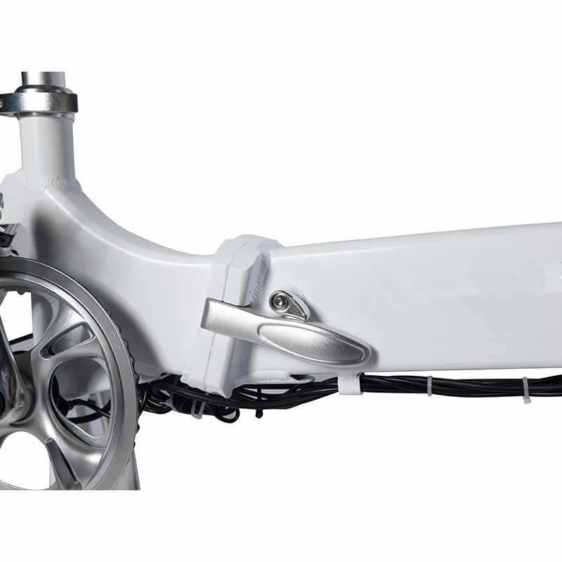 Australian Standard 36V 250W Electric Bike With CE Certificate And Single Derailleur