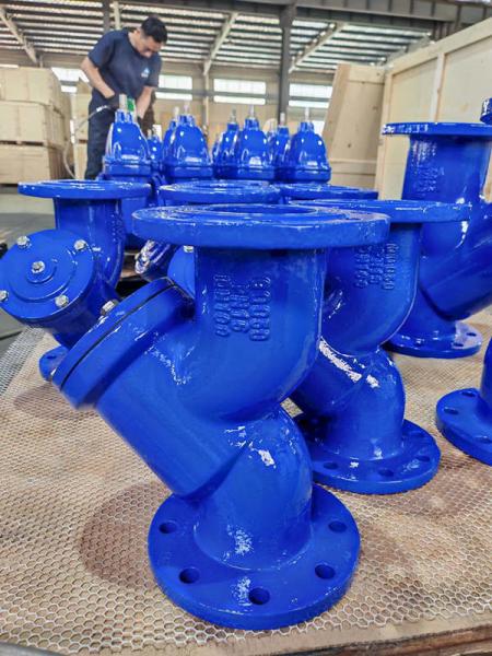 Flanged Cast Iron Y Strainer Valve For Water Steam Oil - SS304/SS316 Screen -20C