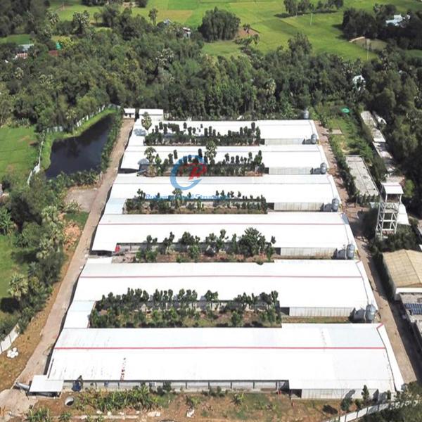 Galvanized Steel Structure Poultry House Building Farm Chicken Coop Steel Frame