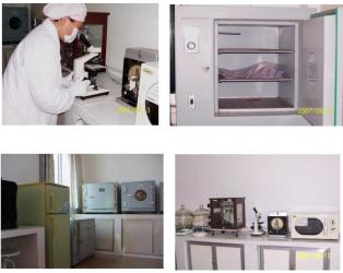 Chengdu Folkland Trading Company Limited