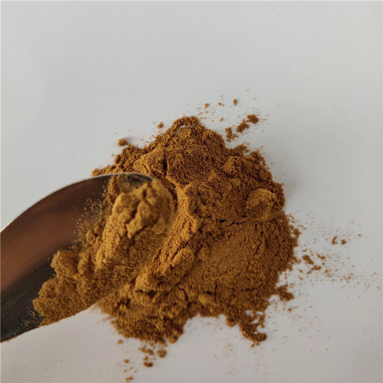 wholesale Reed Rhizome Extract/reed with best price
