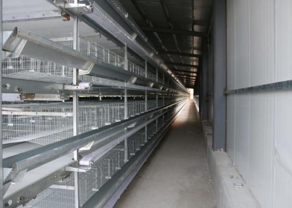 Poultry Farm H Type Layer Chicken Cage Scientific Designed High - Density