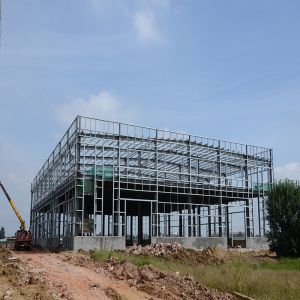 Custom Steel Frame Factory Warehouse Q355B Structure