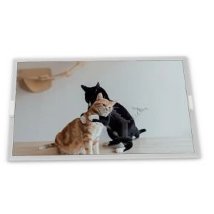  High Resolution stock Compatible 6.2-Inch WLED LCD Display Module 800*480 ODM HSD062IDW1-A02 TFT LCM Panels RGB Interface Manufactures