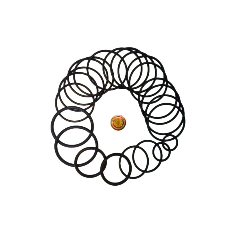 Hardness Types Seals Wireline O Ring Kits Custom Labeling For Energy Industry