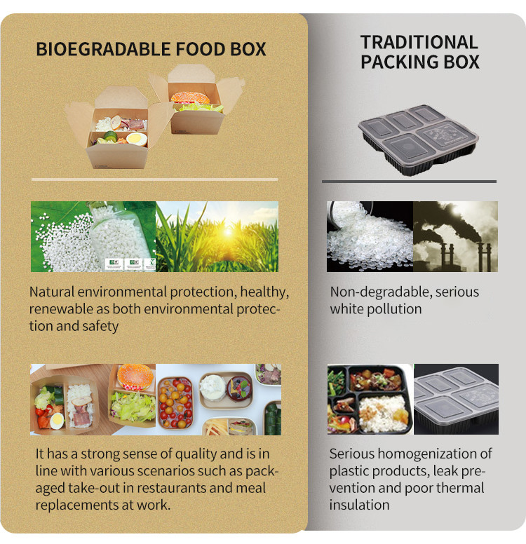 Degradable Eco Friendly Corrugated Food Box Burger Packaging Box Durable