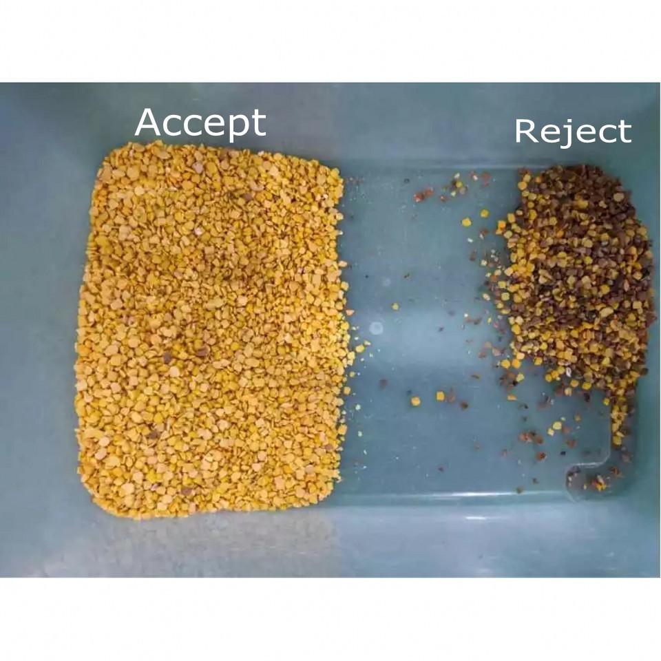 WENYAO Color Sorter Machine For Rice Grain Bean 4 Chutes