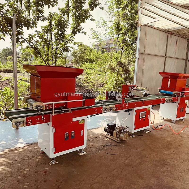 Customised Automatic Seeding Tray Machine Line The Key to Successful Tomato Seeding