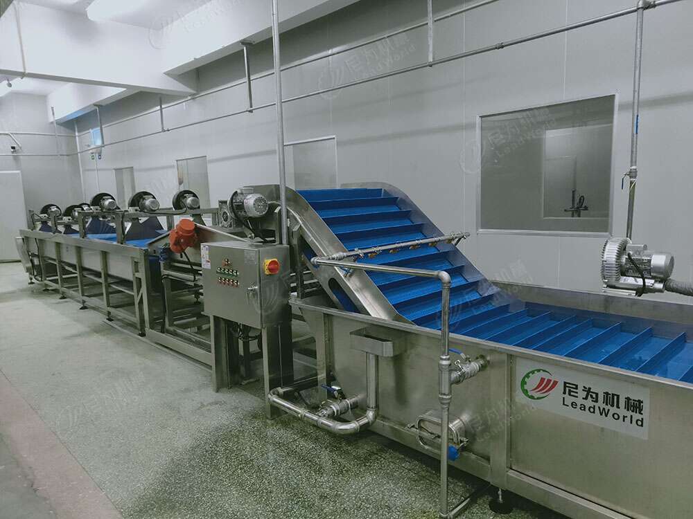 Leafy Vegetables And Fruits Cleaning Lettuce Washer Potatoes Washing Machine