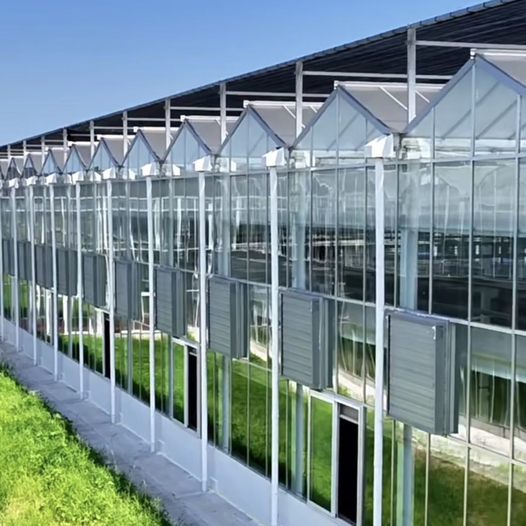 Good Light Transmission Glass Greenhouse Hydroponics Growing