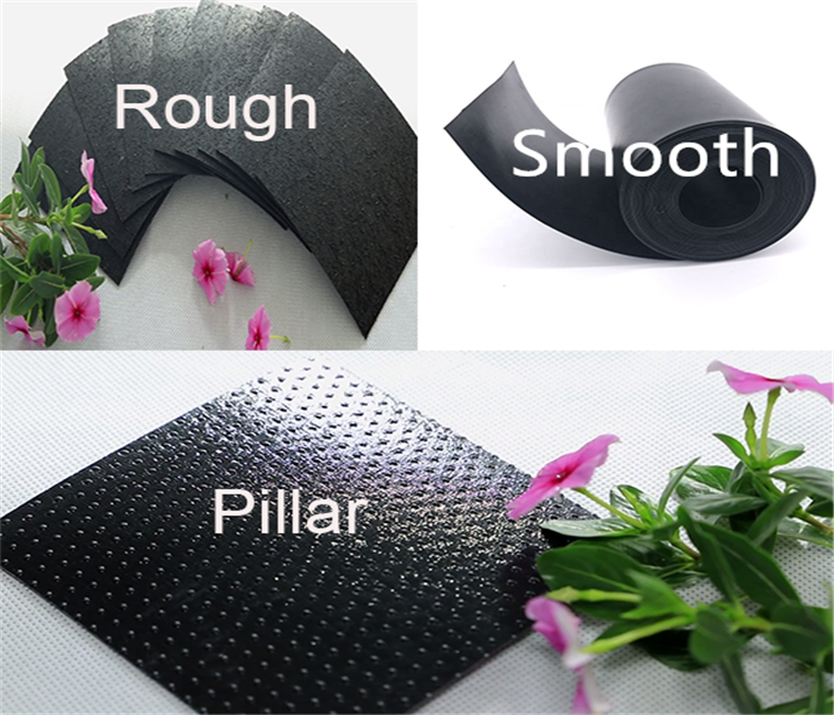 Anti-Corrosion Impermeable Geomembrane for Landfill Design Style in Mexico 1mm Thickness