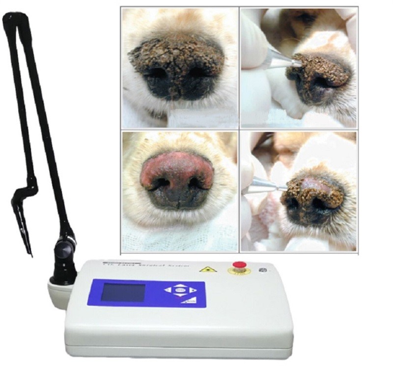 10600nm Veterinary Co2 Laser Wart Removal Surgical 15w Device For Dogs