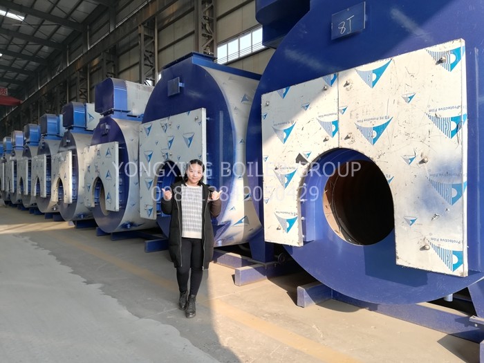 Horizontal Oil Fired Steam Boiler Water Heating Furnace Oil Fired Boiler