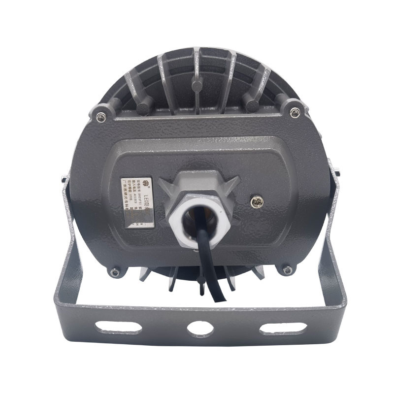 Energy Saving Flameproof Light Fittings Hazardous Light ODM