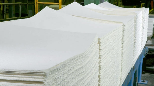 li-pulp-and-paper-620.jpg