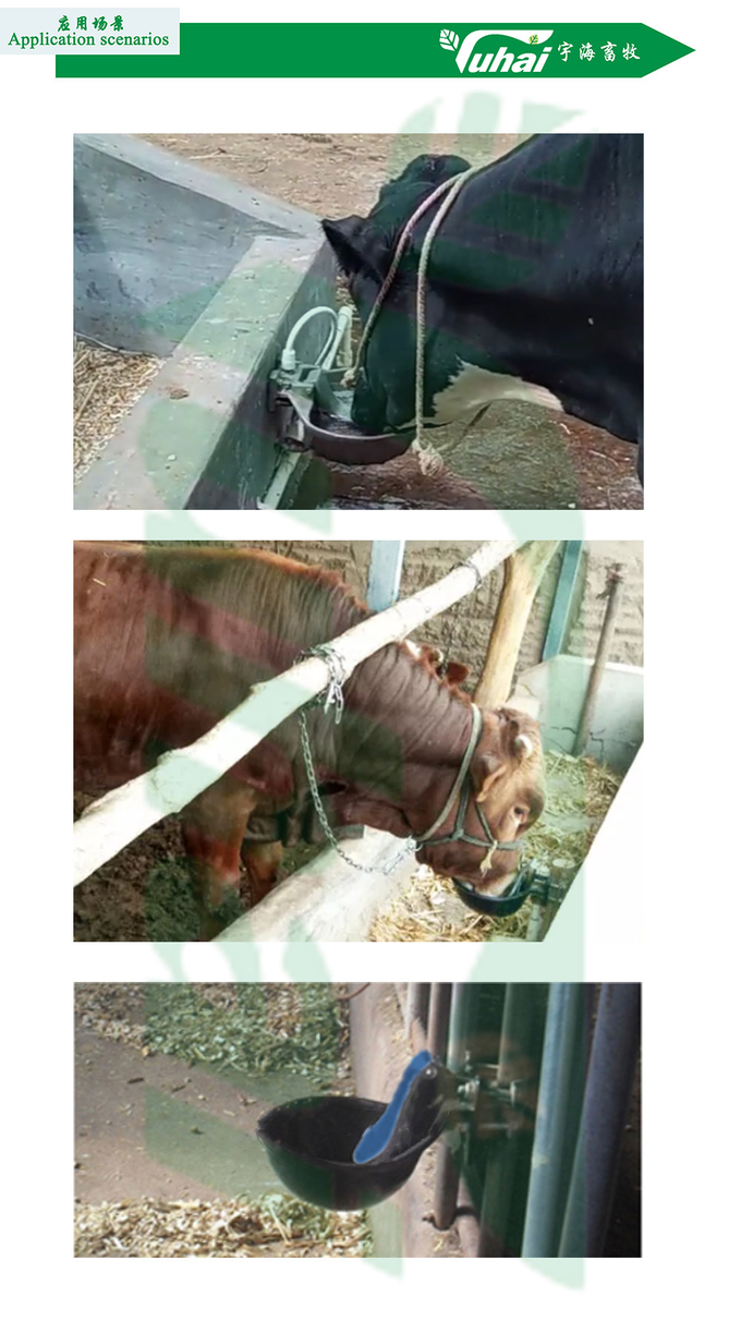 PP Livestock Water Bowl 1.8l Agriculture Machinery Equipment Water Trough For Goats