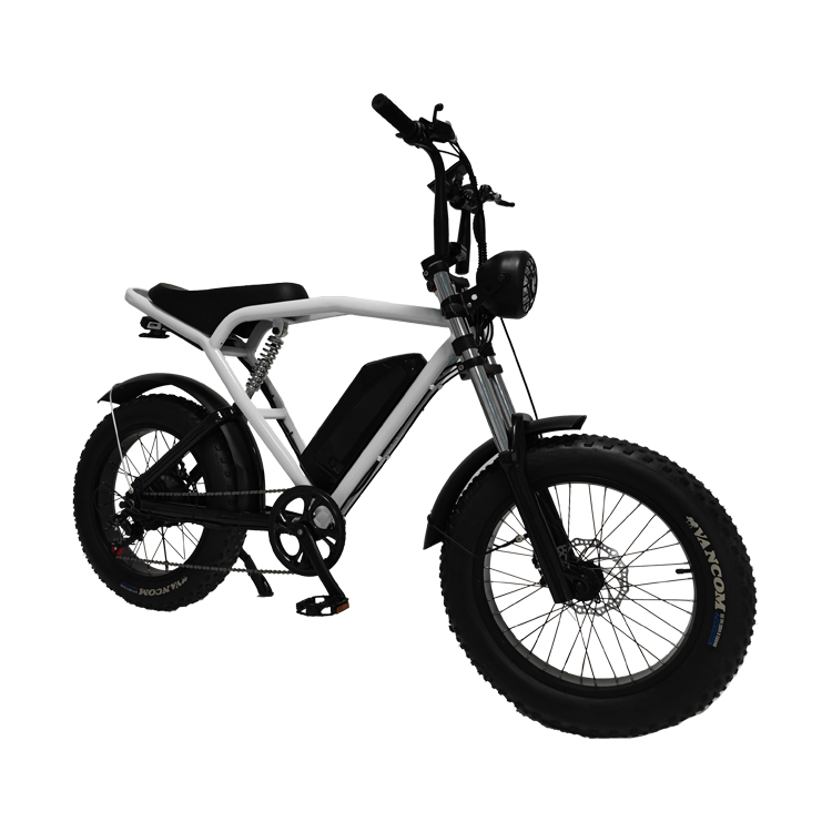 Rear Hub Motor 20*4.0'' Fat Tire Electric Bicycle E-Bike For Market