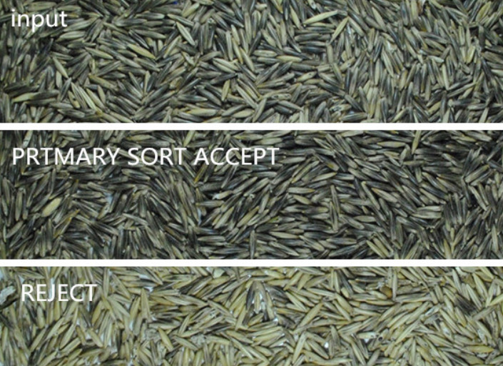 Buckwheat Barley Wheat Lentil Optical Colour Sorter Coffee Cleaning Color Sorter Machine Grain Wheat Grading Color Sorter