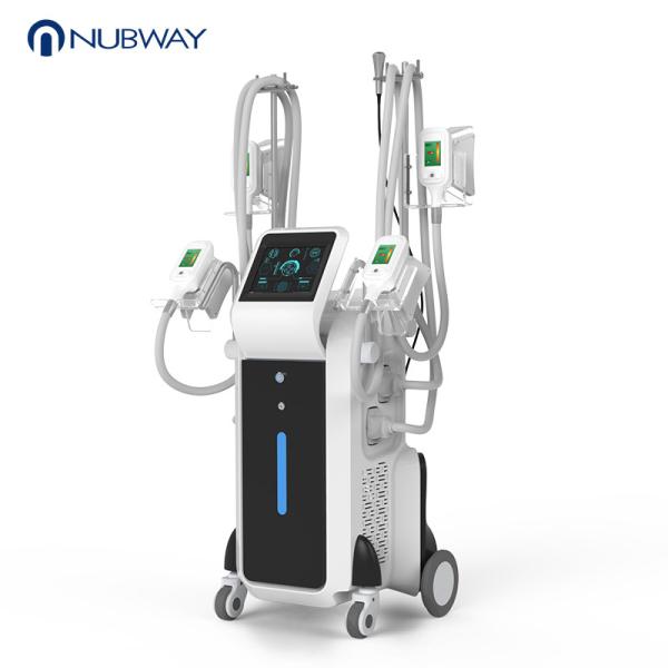 Coolsculpting 4 Handles Fat Freezing Cryolipolysis Body Slimming Machine Vacuum