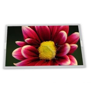  3.5 Inch TX09D200VM0BPA High Resolution LCD Screen Module 240*320 TFT LCD Module Manufactures