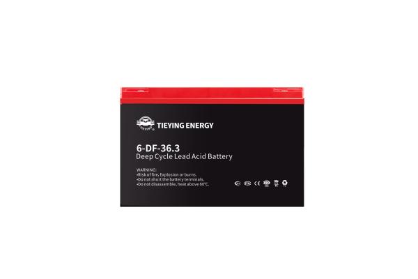 36.3Ah 12v Lead Acid Battery OEM 6-DF-36.3 FOR E-Motorcycle 450times Sealed Lead