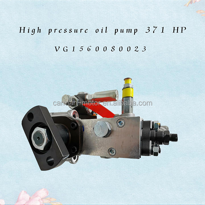 Replace/Repair High Pressure Fuel Pump VG1560080023 Metal Construction for Sinotruk HOWO Sitrak Engines