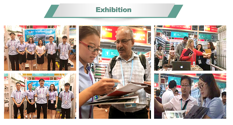 Exhibition.jpg