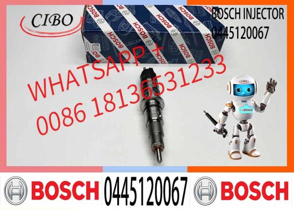 Hot Sale Manufacture Engine Diesel Fuel Injector 0445120067 For Deutz D6E EC210