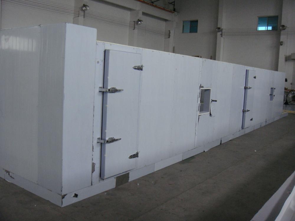 Deep frozen cold room for meat