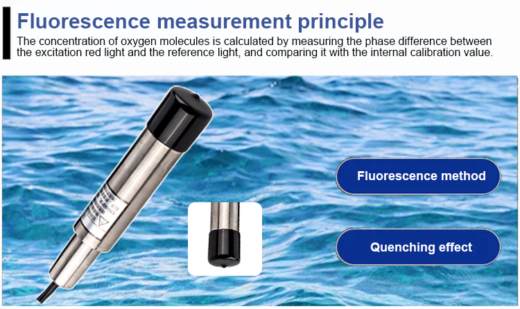 Online Digital Water Dissolved Oxygen Sensor with Modbus Segwass Probe 0-20mg/L Range