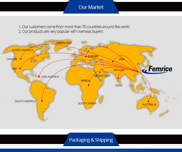 Femrice 1000Mbps Quad Port Network Card, SFP Slot Server NIC Network Card, LC Fiber