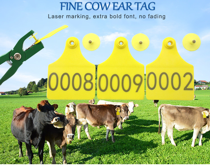 Engravable PE Livestock ID Tags Custom Ear Tags For Cattle