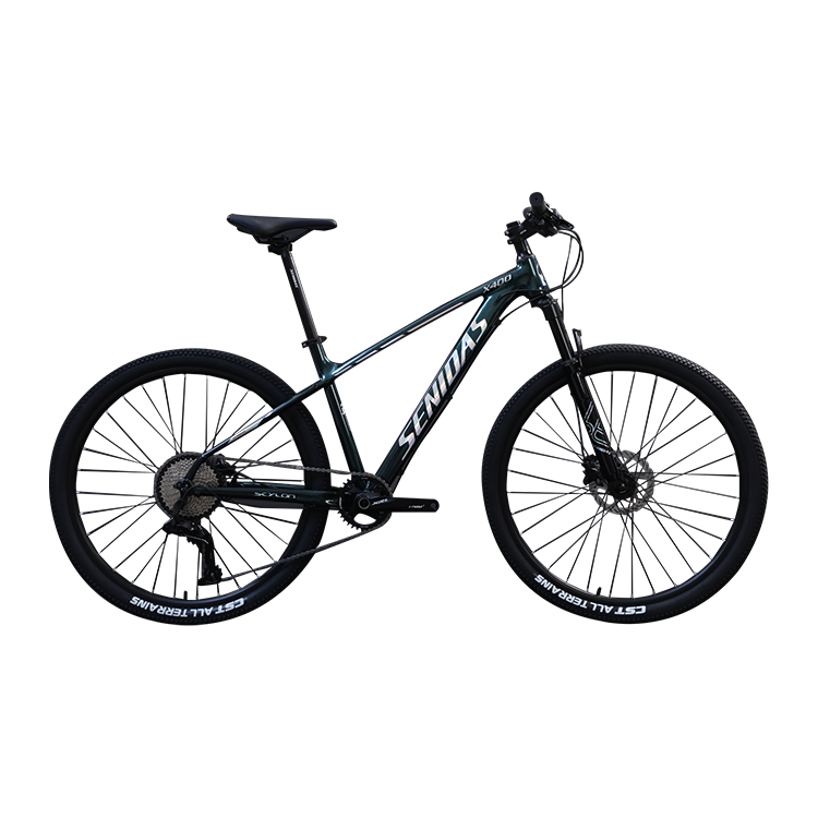 29 Inch Mountain Bike Marlin Made with Copy Carbon Welding and Aluminum Rim Material