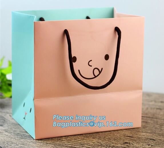 Luxury Rope Handle Laminated Paper Carrier Bags,brand Luxury laminated manila carrier paper hand bag, bagplastics, bagea