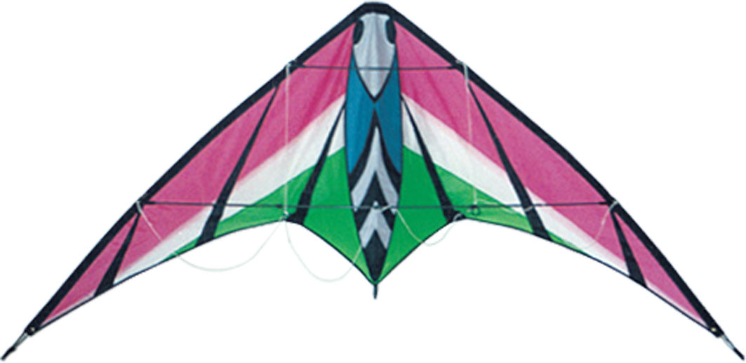 Fashion dragon style nylon Delta stunt kite ,Jazze Delta sports kite