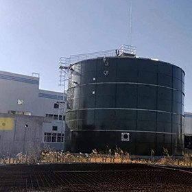  EGSB Anaerobic Reactor Wastewater Treatment Manure Methane Digester Manufactures