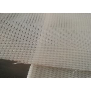 Fruit Squeeze Repeatable Polyester Sludge Dewatering Belt Acid Resistance