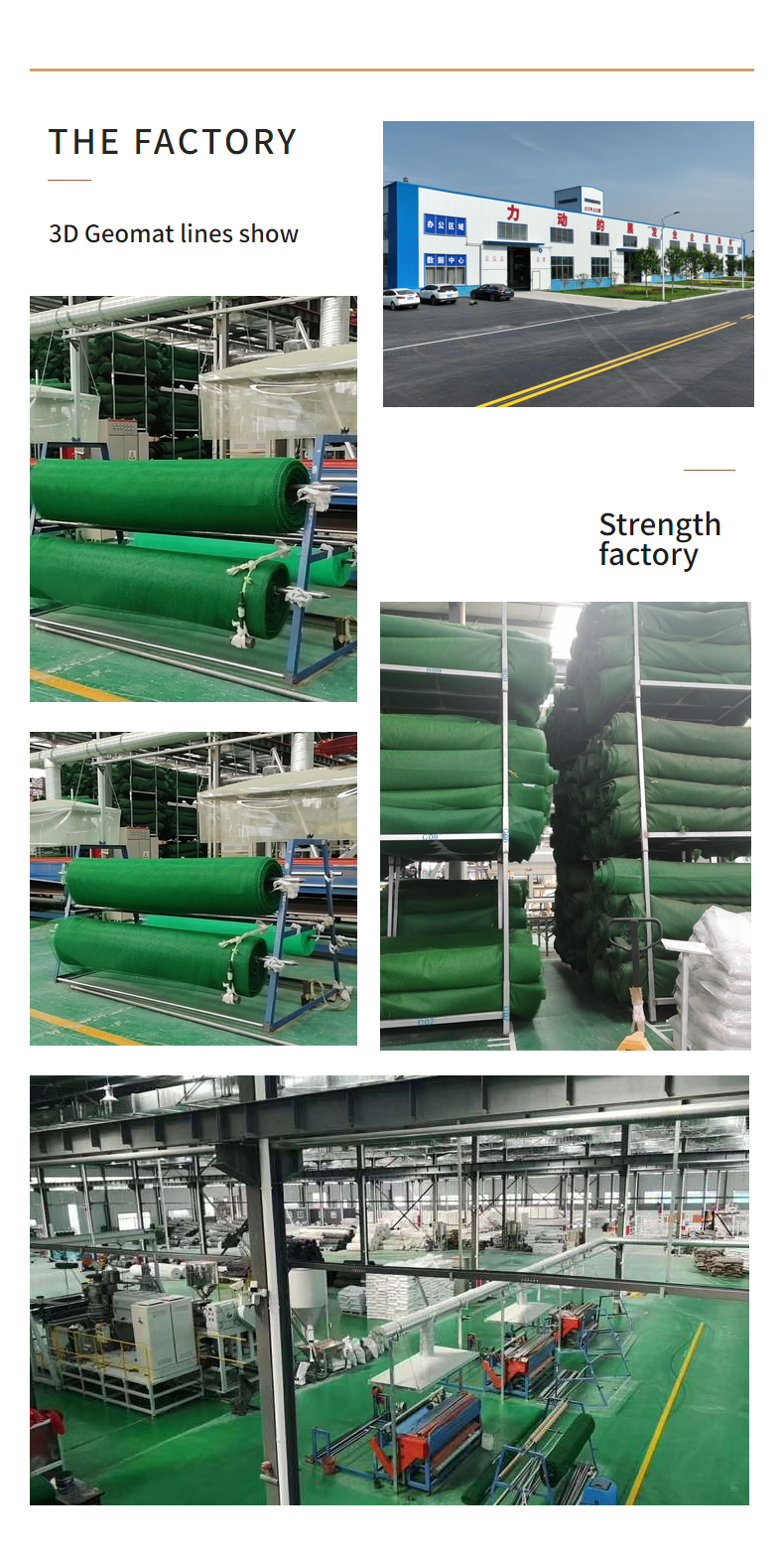 Reinforced Green 3D Geomat for Slope Protection Onsite Training Offered