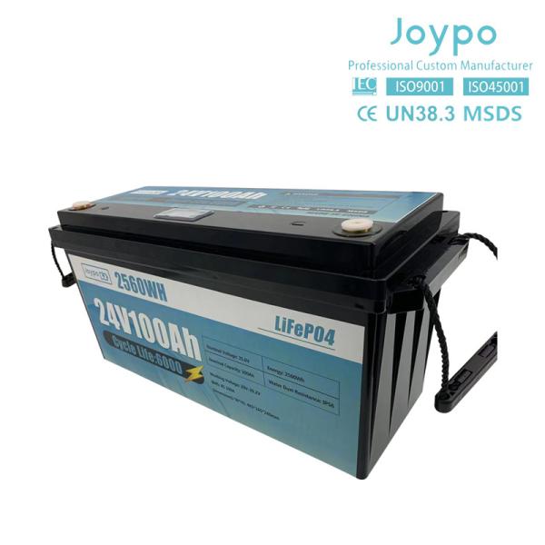 24 Volt 100Ah 200Ah 300Ah Marine Lithium Battery LiFePO4 Lithium Ion Battery