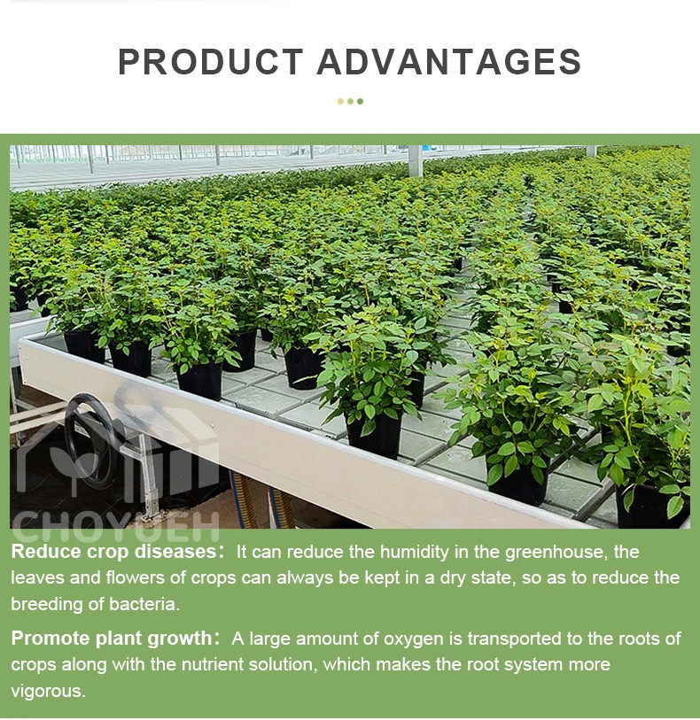 Hydroponic EBB And Flow Tray Grow Table System Agriculture Nursery Planting Flood Table ABSTray Rolling Bench Tray