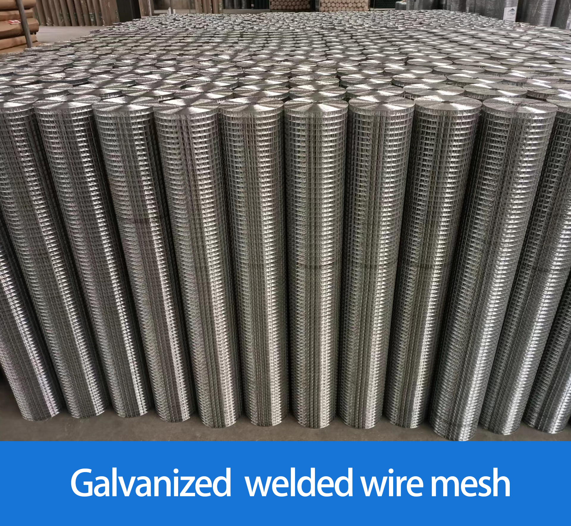 Factory good price 1/2" welded wire mesh roll