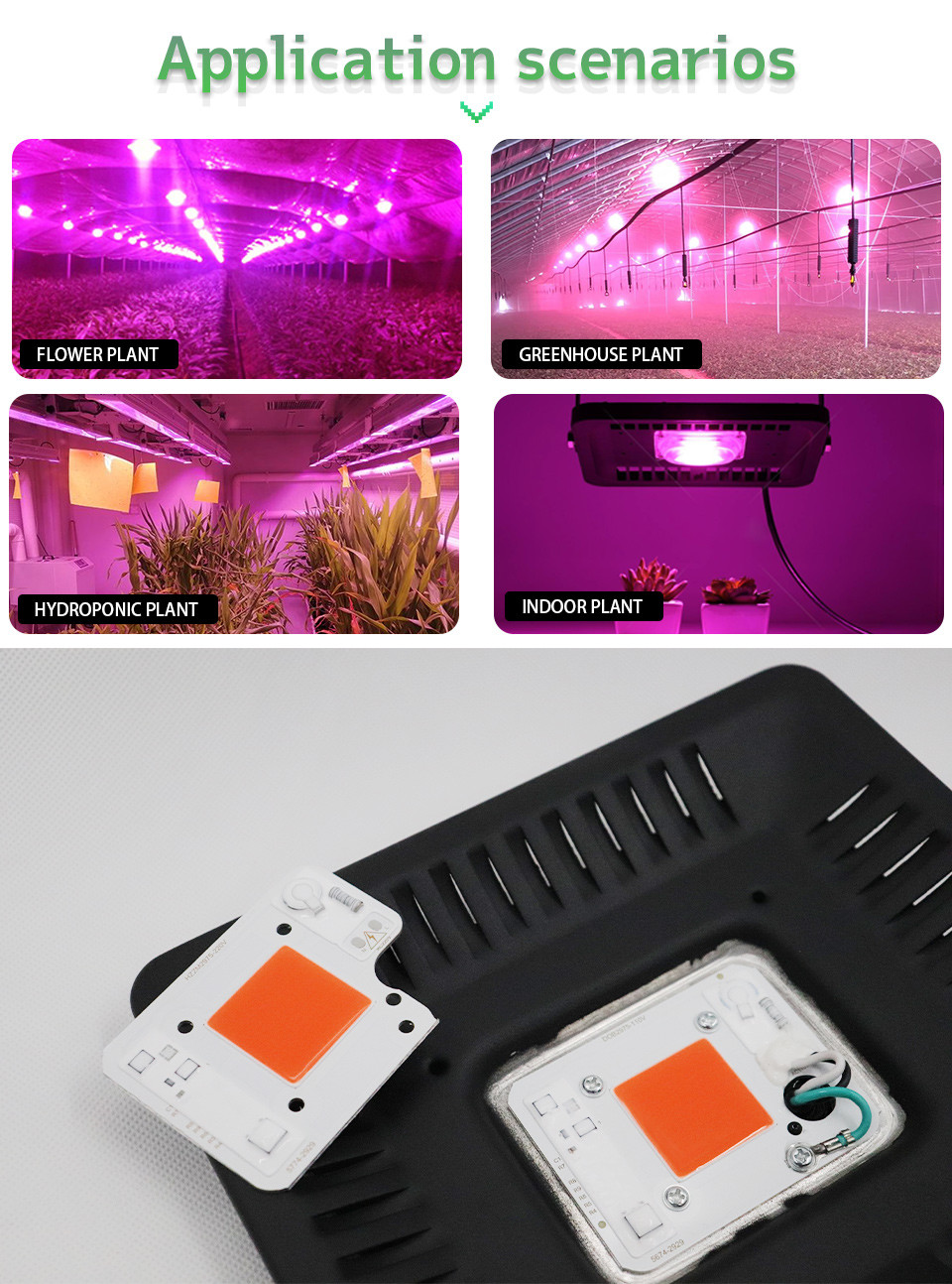 3000lm COB LED Module COB Chip 50Watt 6000K For Commercial Lighting Solutions
